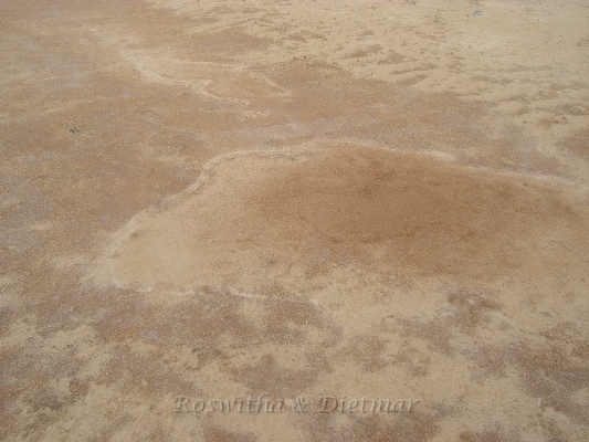 CIMG7344.JPG - harter Sand - durch Salz