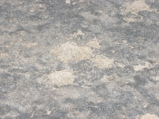 CIMG7378.JPG - kleine Sandhuegelchen durch aufsteigendes Wasser